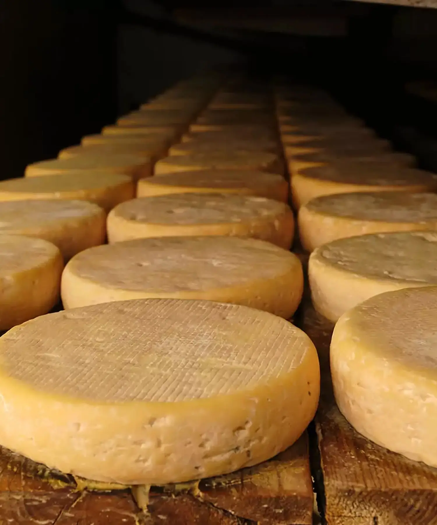 Fromage de Munster et produits du terroir